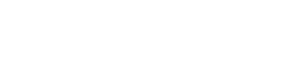 수치