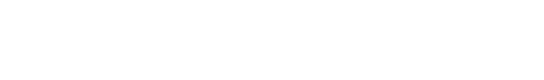 수치